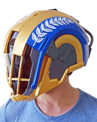 Hood of Triumph Warlock Helmet