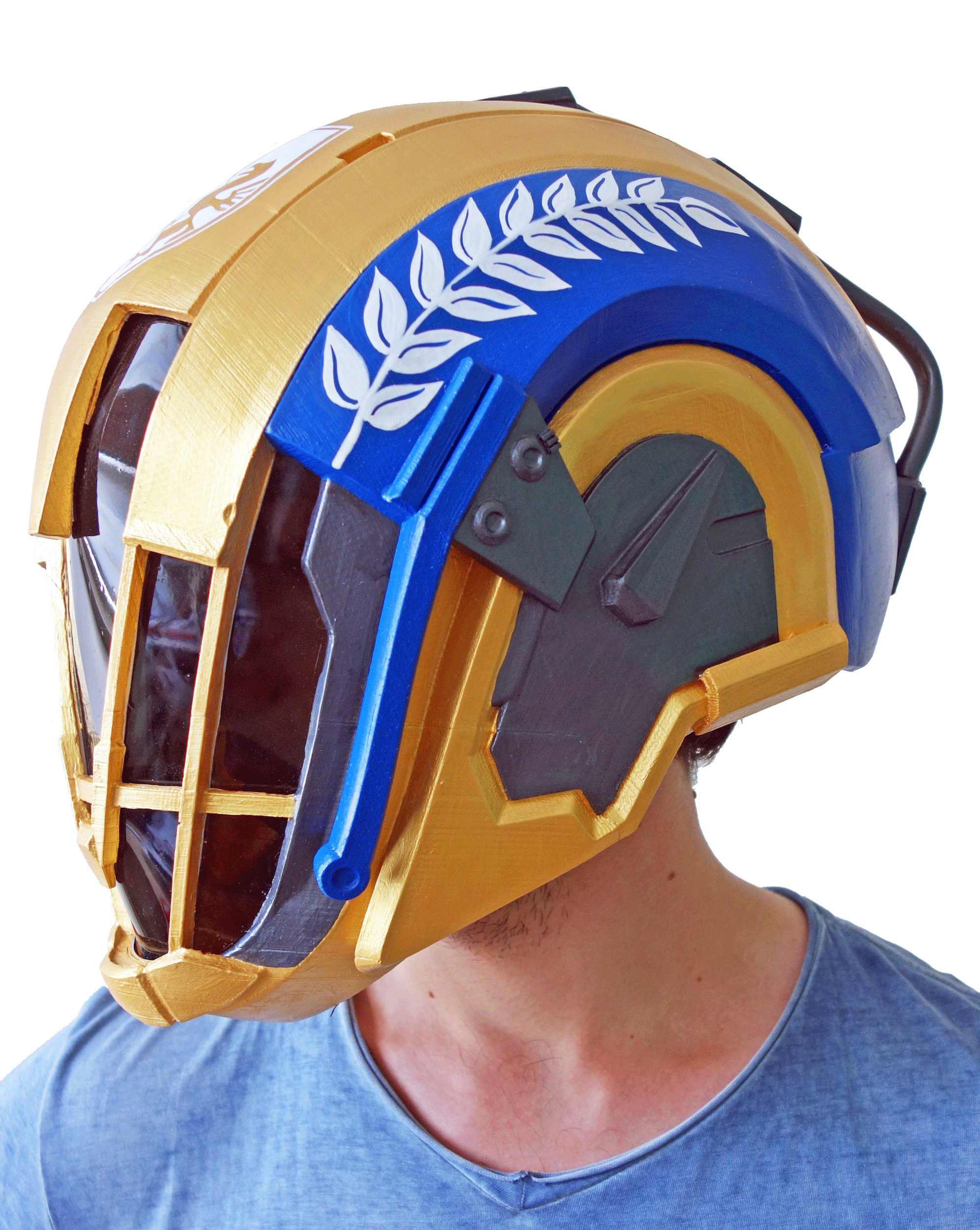 Destiny helmets for sale