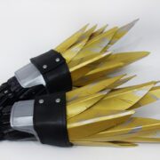 claws of ahamkara