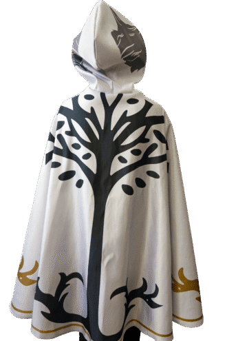 Iron Banner hunter cape hunter cloak