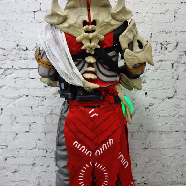 destiny warlock costume