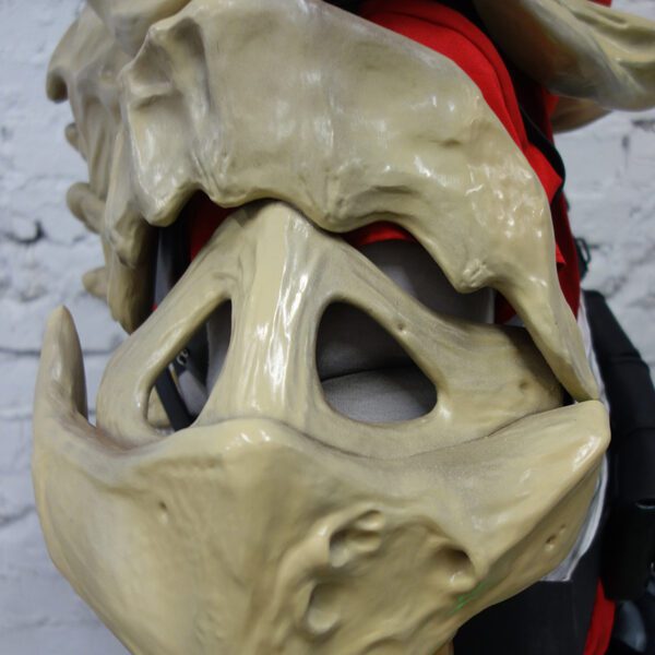 destiny warlock costume